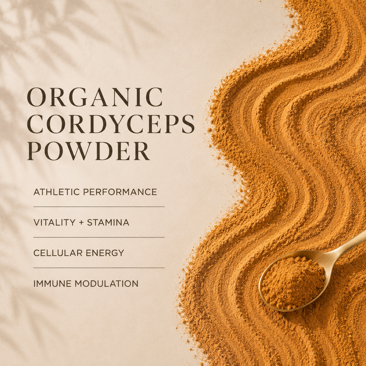 Cordyceps powder swirl graphic for Eleven TLC showing cellular energy, athletic performance, mycelium and fruiting body, and USA-grown sourcing.