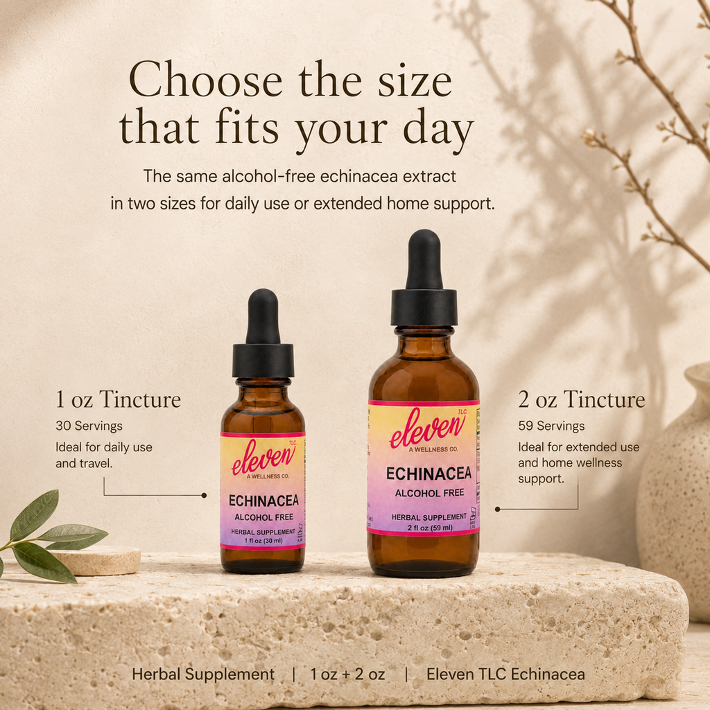 Eleven TLC Echinacea tincture 1oz and 2oz bottles on stone, showing size comparison for daily use or extended support.