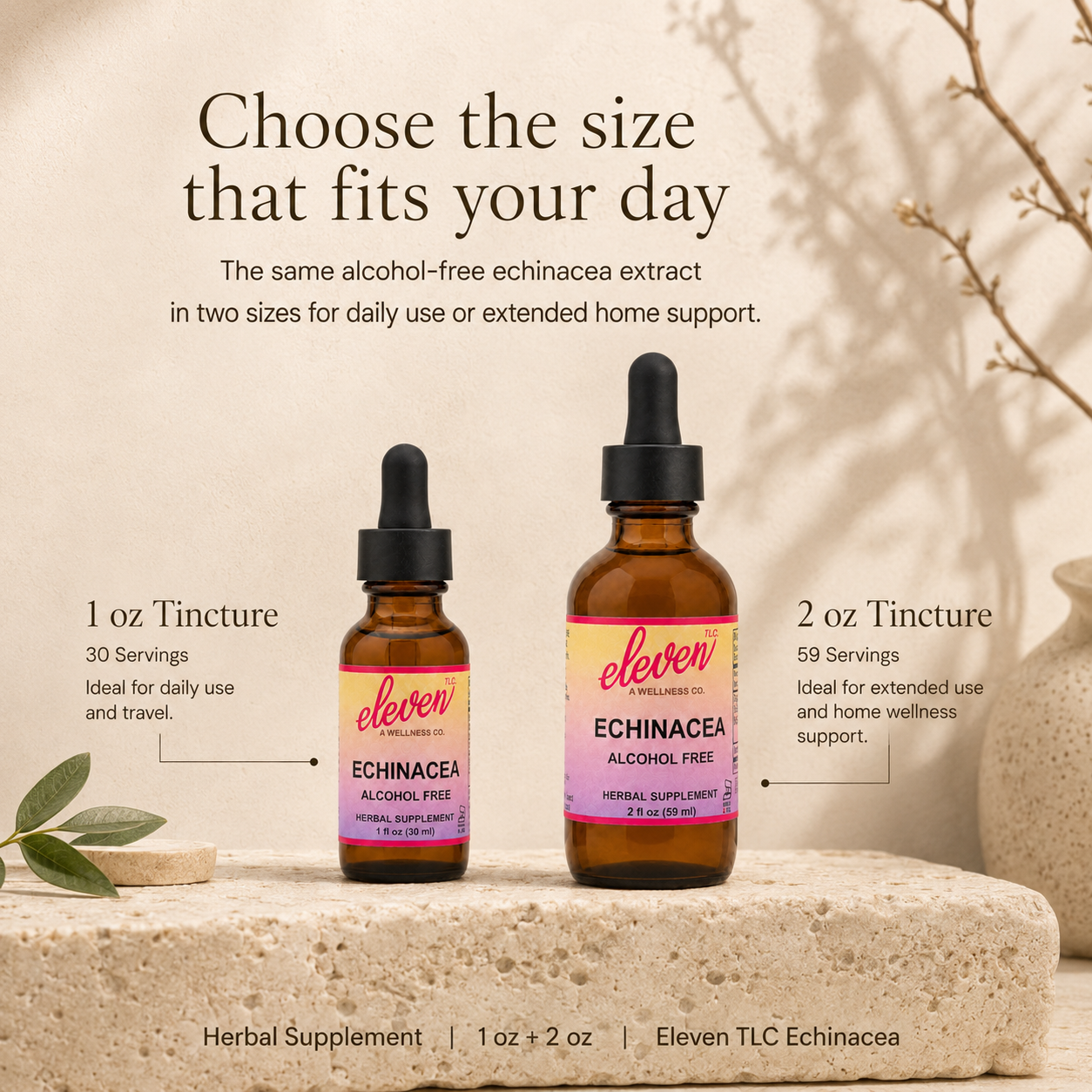 Eleven TLC Echinacea tincture 1oz and 2oz bottles on stone, showing size comparison for daily use or extended support.