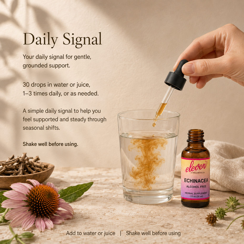 Eleven TLC 2oz Echinacea alcohol-free tincture bottle with dropper, glass of water, and flower on a wooden surface.