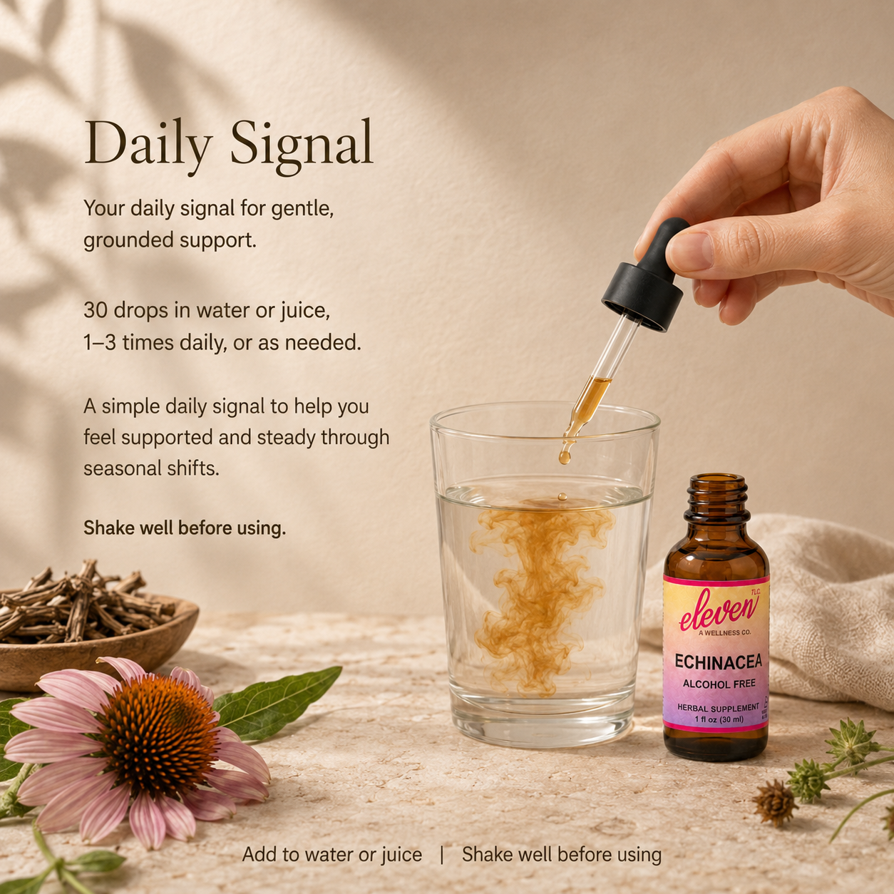 Eleven TLC 2oz Echinacea alcohol-free tincture bottle with dropper, glass of water, and flower on a wooden surface.