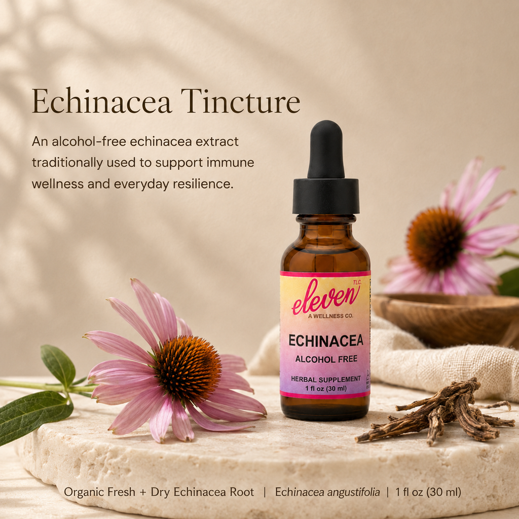 Eleven TLC Echinacea root tincture bottle on natural surface with purple coneflower petals for immune support.