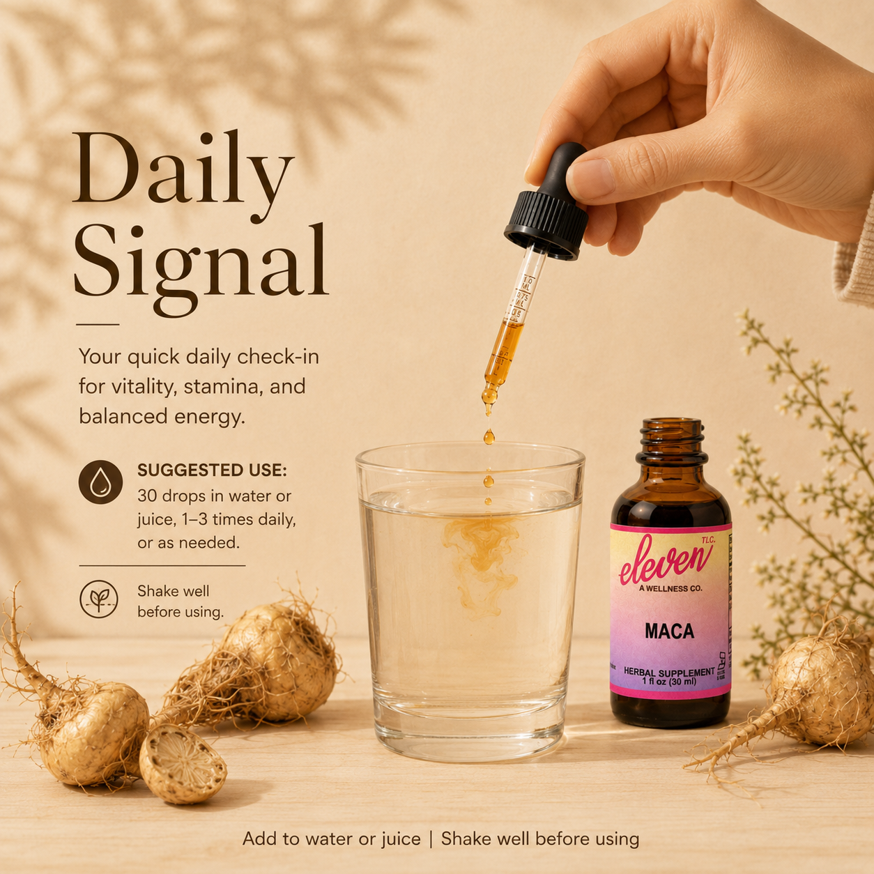 Eleven TLC organic maca root tincture 1oz bottle and glass with dropper, infographic explaining daily usage signal.