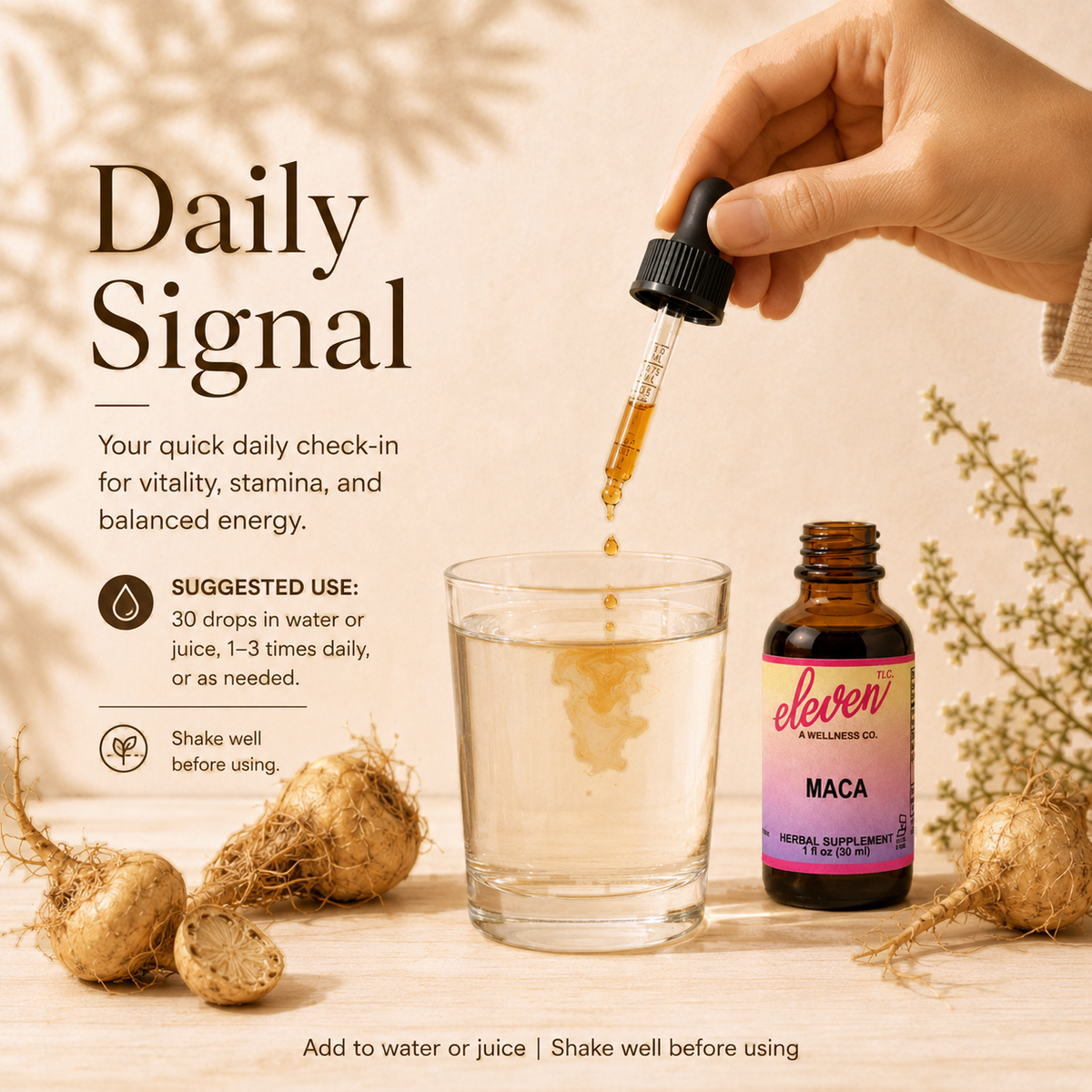 Eleven TLC organic maca root tincture 1oz bottle and glass with dropper, infographic explaining daily usage signal.