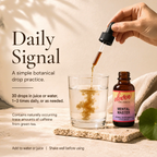Eleven TLC Mental Master 1 oz tincture instructional graphic; details 30-drop serving size, daily usage, and caffeine disclosure.