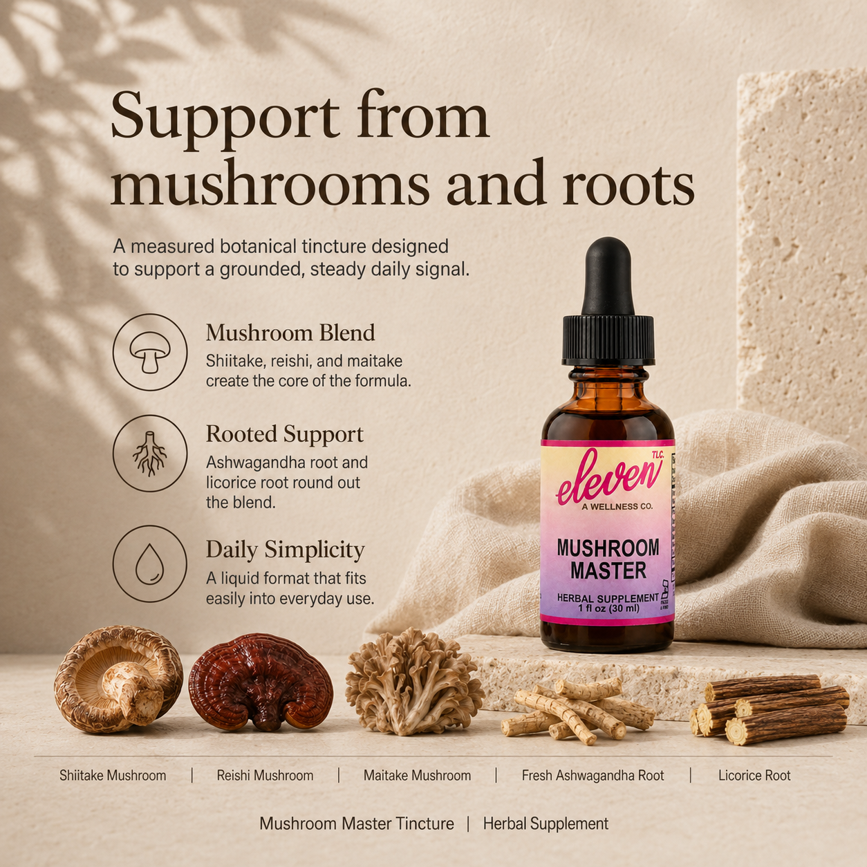 Infographic for Mushroom Master tincture detailing reishi, shiitake, maitake, ashwagandha, and licorice root benefits.