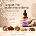 Infographic for Mushroom Master tincture detailing reishi, shiitake, maitake, ashwagandha, and licorice root benefits.