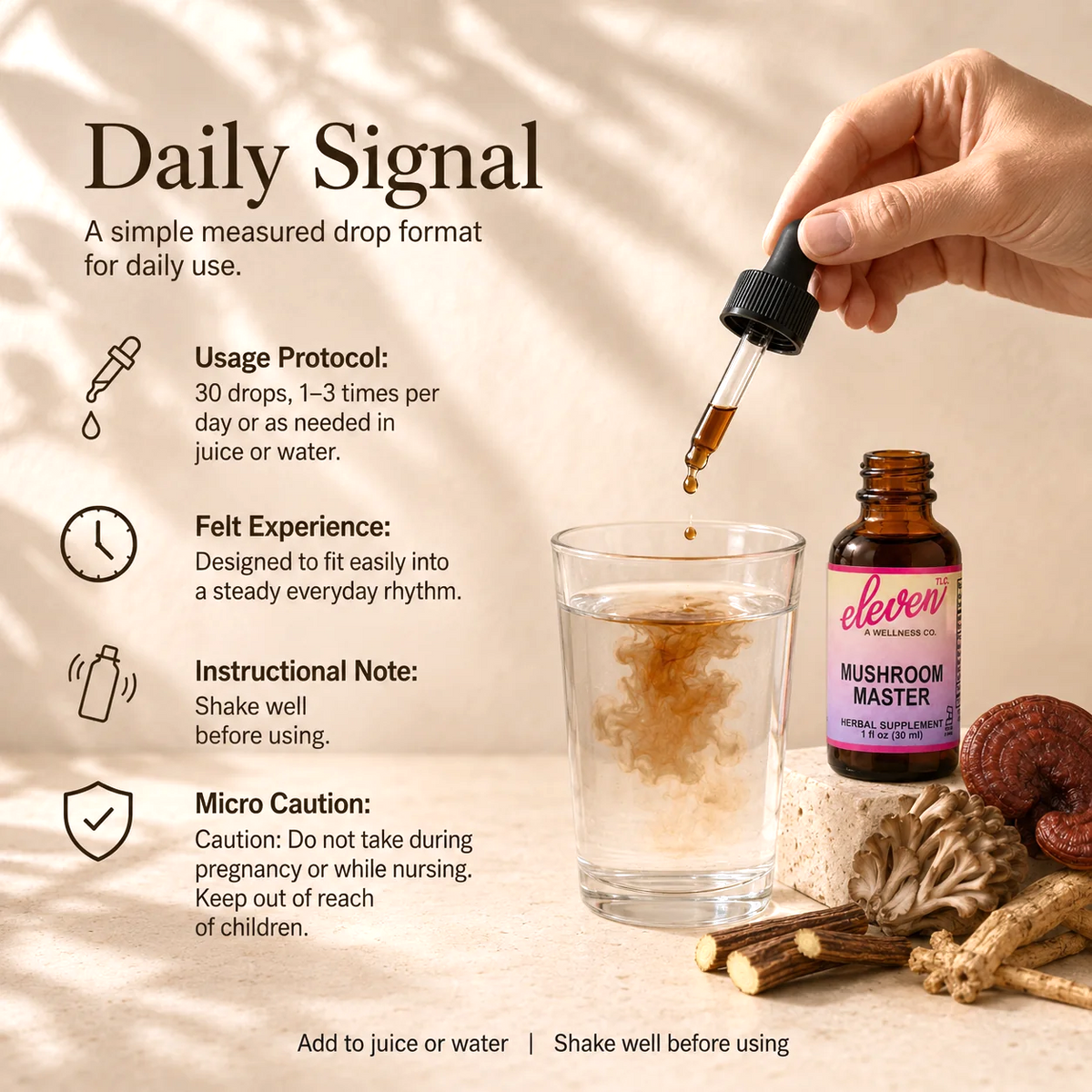 Mushroom Master tincture Daily Signal infographic showing dosage protocol, usage instructions, and safety cautions.