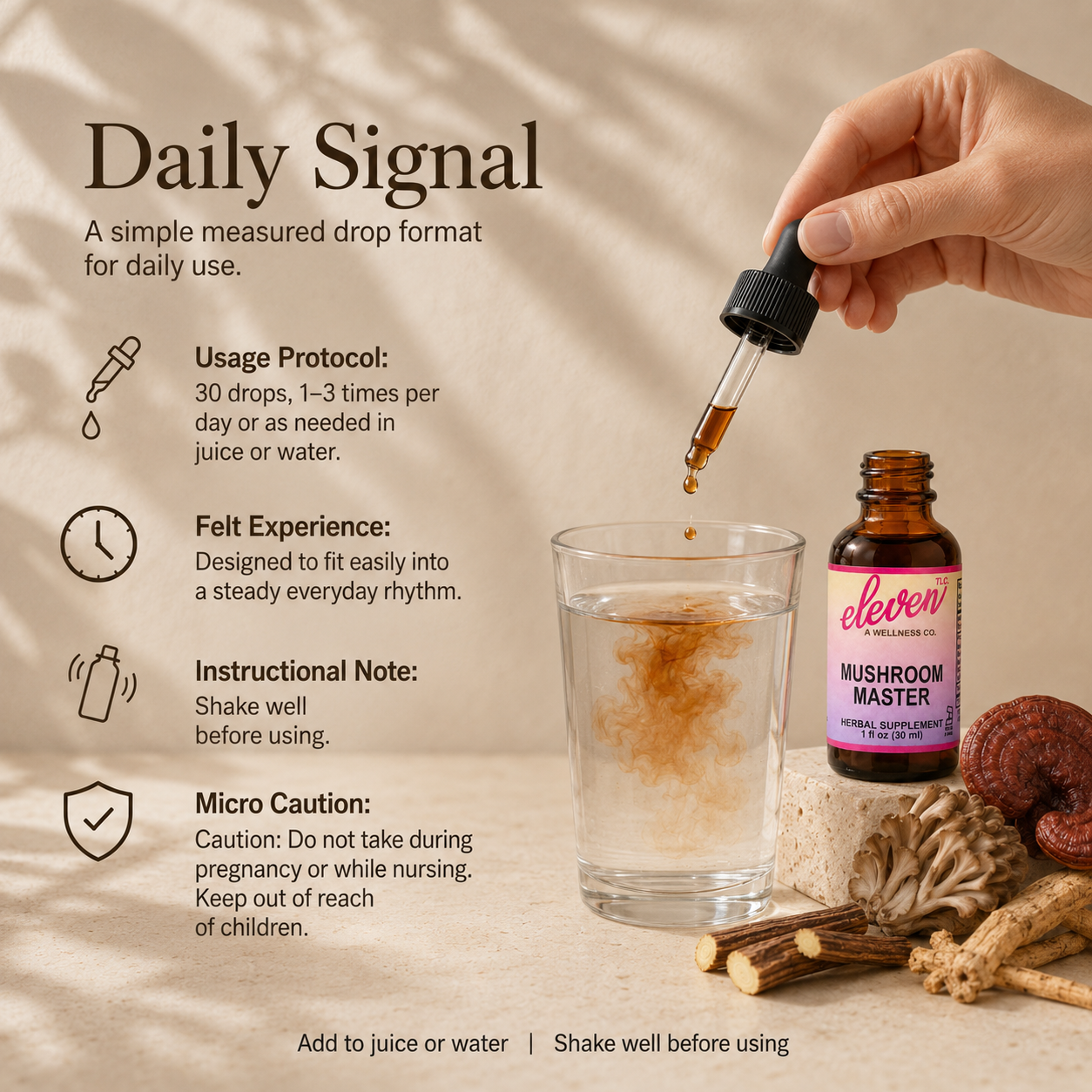 Mushroom Master tincture Daily Signal infographic showing dosage protocol, usage instructions, and safety cautions.