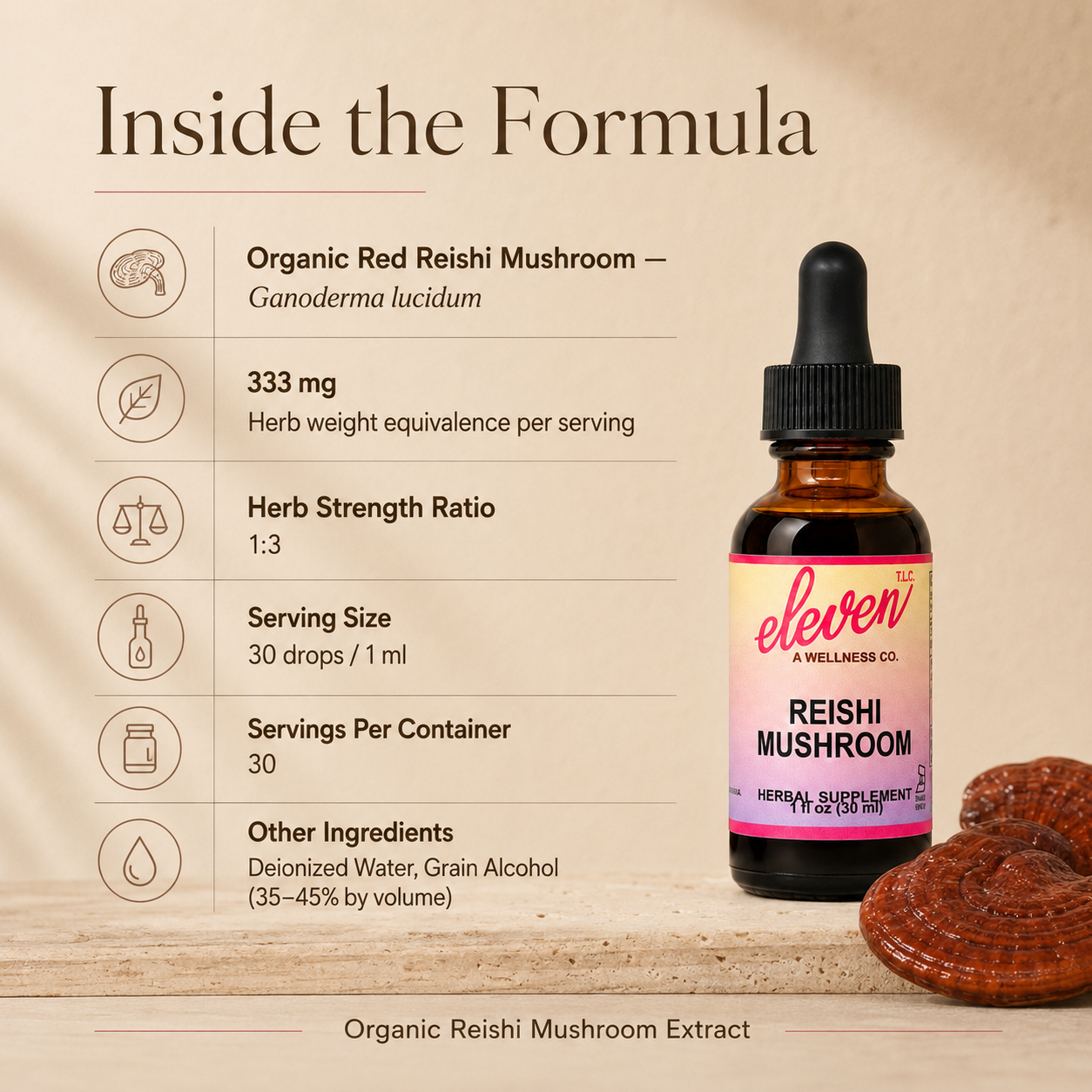 Eleven TLC reishi tincture infographic showing Ganoderma lucidum herb strength ratio, serving size, and ingredients.