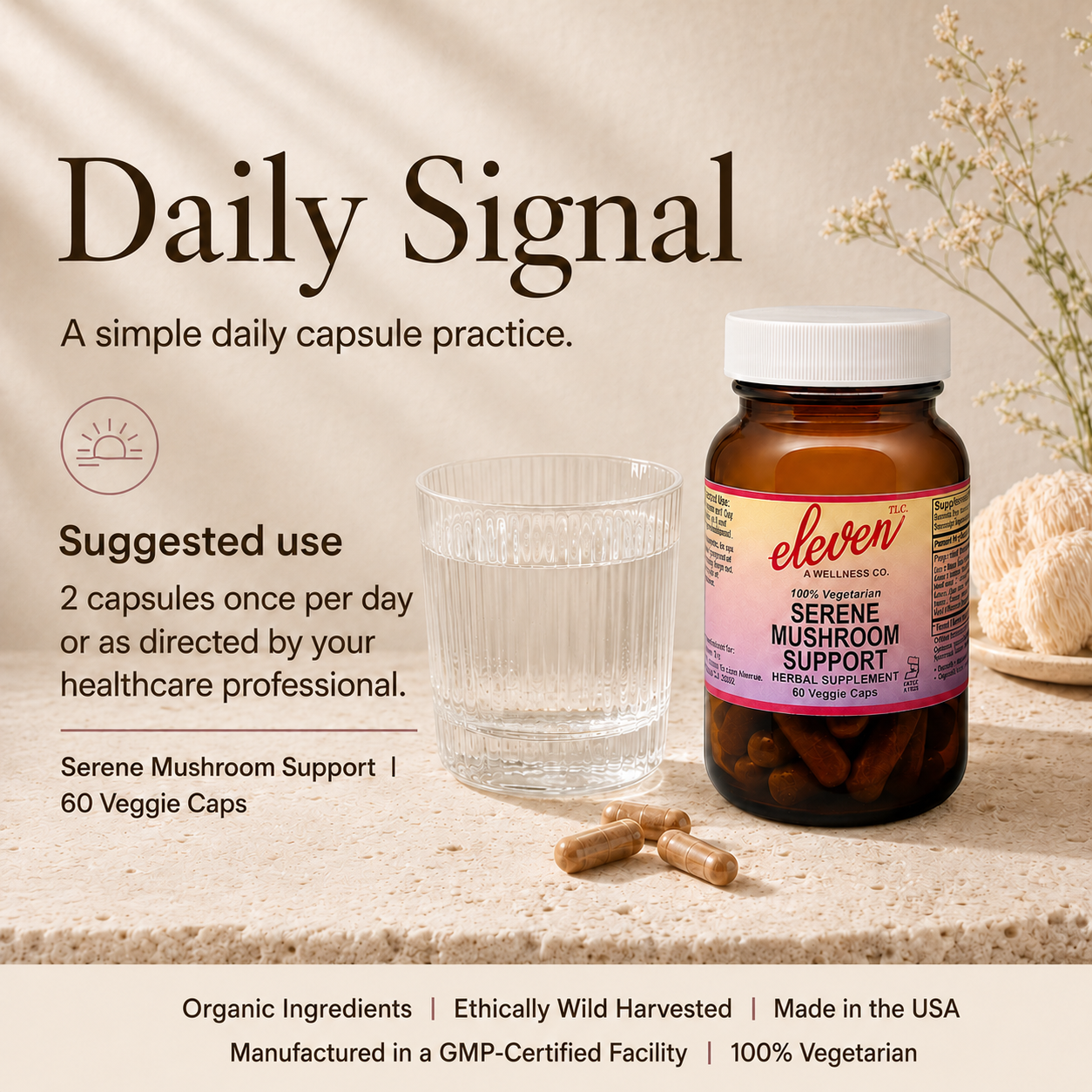 Eleven TLC Serene Mushroom Support capsules, 60 count bottle, displayed with capsules and water for a daily signal practice.