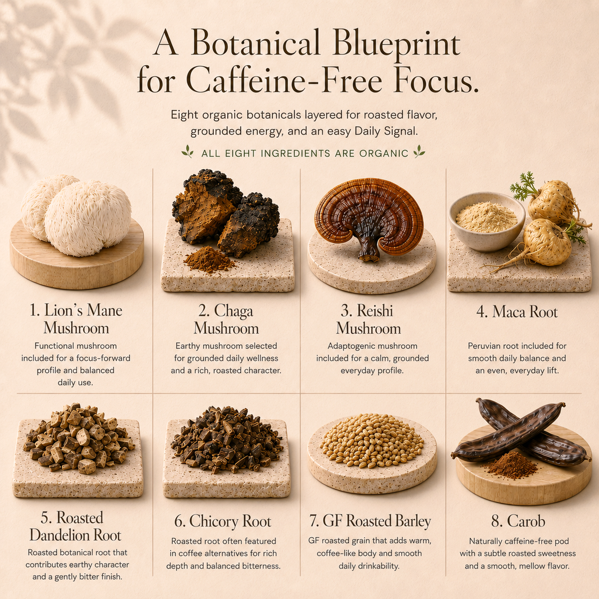 Eleven TLC Shroomie botanical blueprint showing 8 functional ingredients including Lion's Mane, Reishi, and Chaga mushrooms.