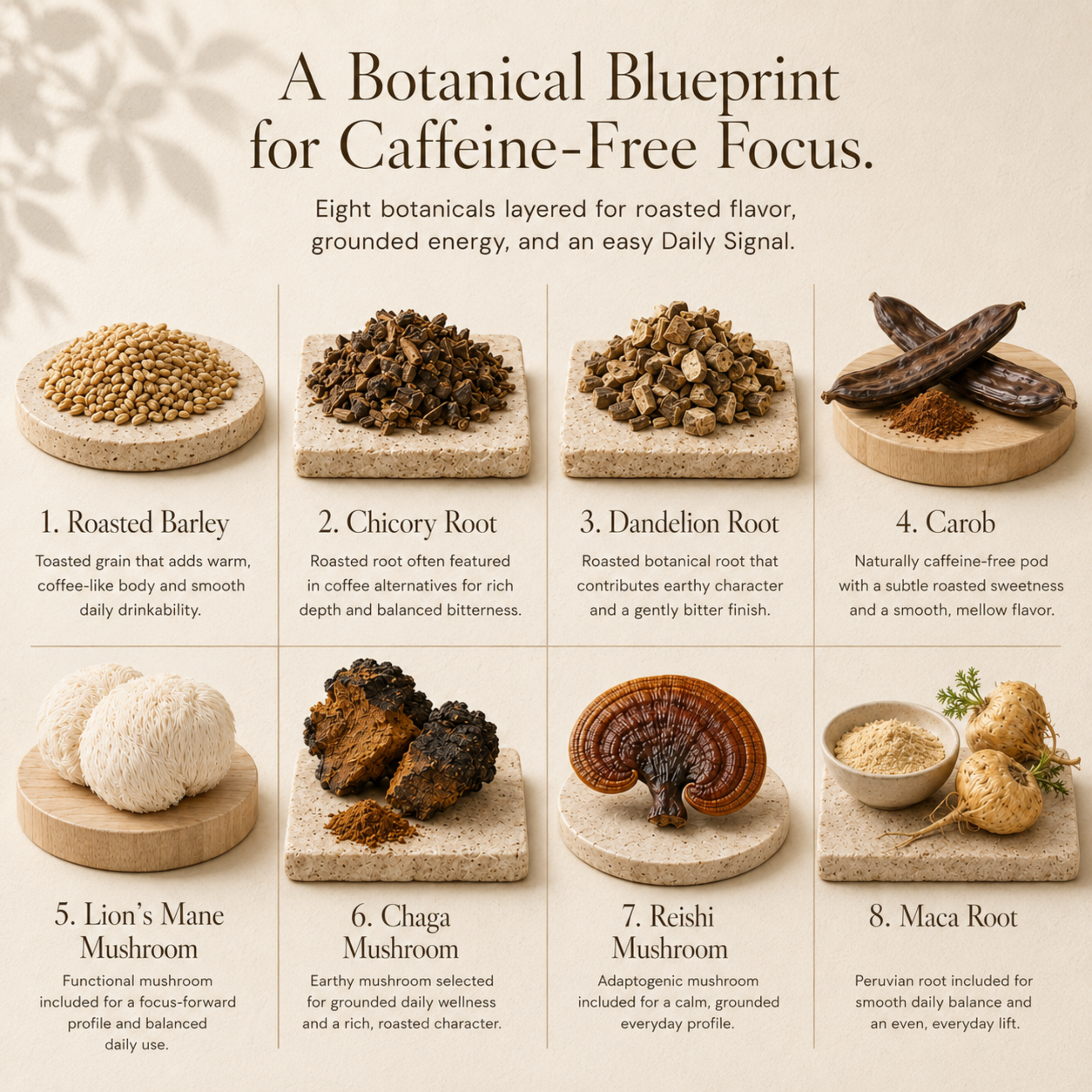 Eleven TLC Shroomie botanical blueprint showing 8 functional ingredients including Lion's Mane, Reishi, and Chaga mushrooms.