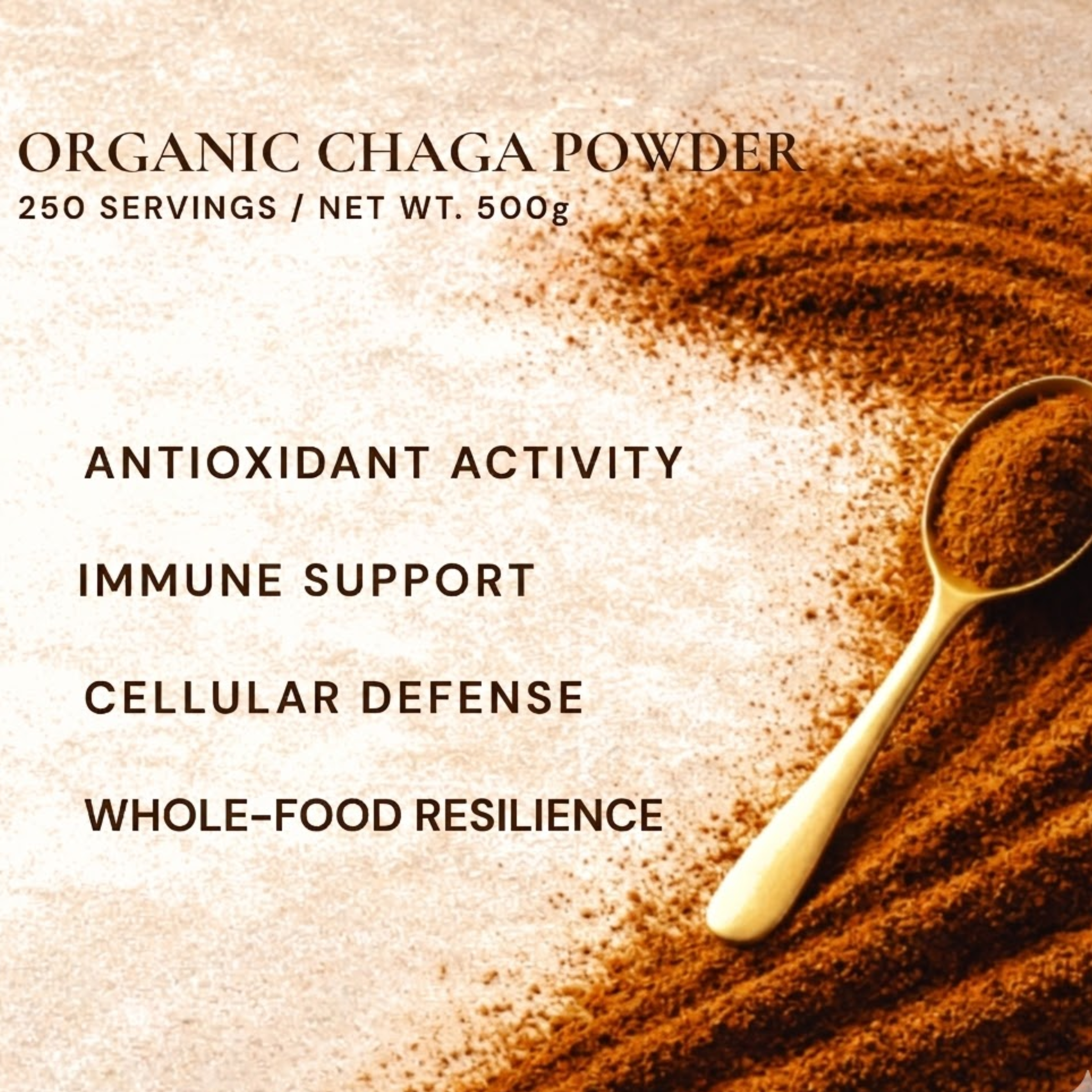 Organic Chaga Mushroom Powder — Foodservice 500g