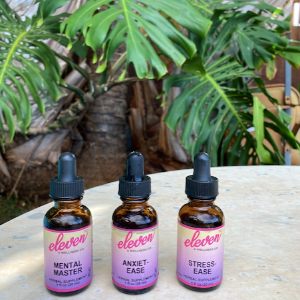 Mental Master Tincture "Brain Upgrade"